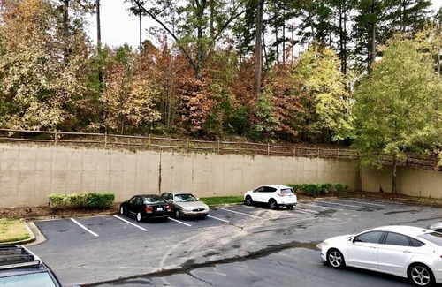 Raleigh Apartment | 8min from RDU Airport