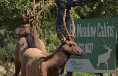 Orick Apartment | 9B Prairie Creek Single Room at the Meadow Site