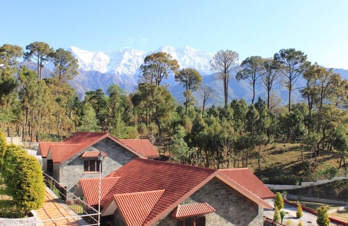 Chachian Cottage | A Cottage for Solitary Nature Lovers amidst Jungles, Mountains and Tea Gardens