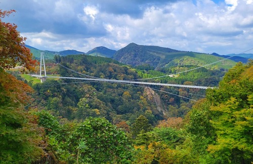 Beppu House | A couple strangely but happily united