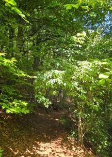 Cles House | A D 1486 chambre