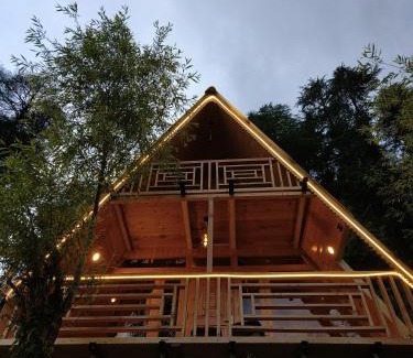Banjar House | A frame cottage jibhi