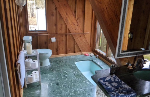 Belgium House | "A" frame cottage on the shore of Lake Michigan