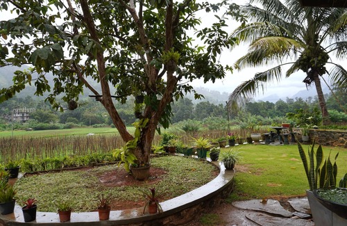 Ella House | A Green world near to Ella. Family Friendly Lovely Place surround by mountains.