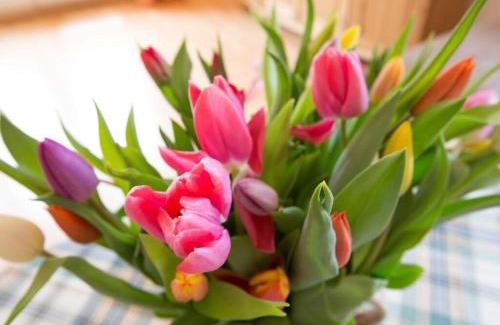 Wittduen Apartment | A in Haus Seewind Comfortable Vacation Home