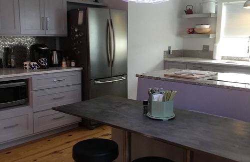 Greenville Apartment | A Mix of Mod & Vintage in the Historic West End, walking distance to downtown