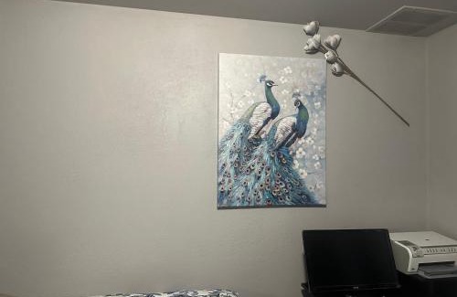 Williston House | A Newly executive basement Apartment