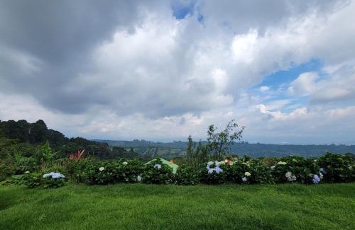 Naranjo House | A place to create dreams