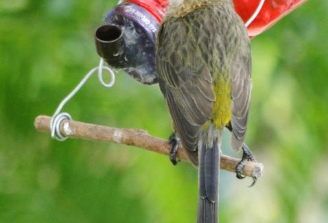 Swellendam Apartment | Aalkie's Dream