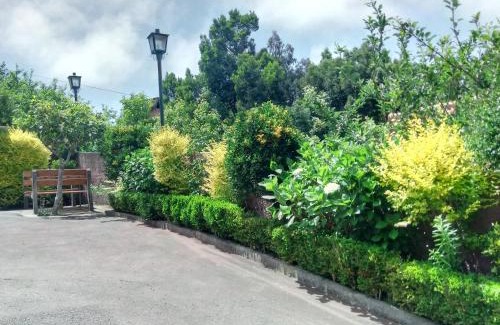 Santana Ski Chalet | Abrigo da Serra- Nature Trails