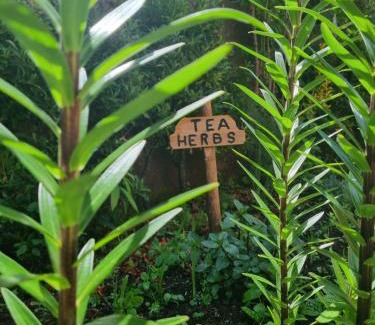 Santana Ski Chalet | Abrigo da Serra- Nature Trails