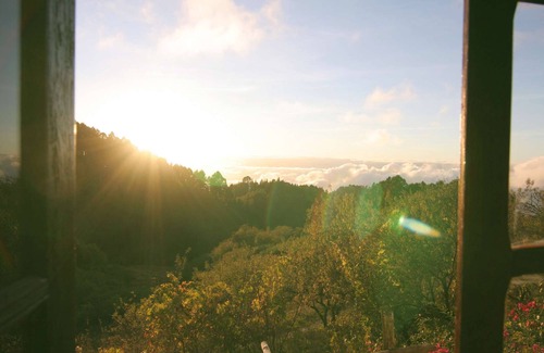 Las Tricias House | Absolute Ruhe und Alleinlage Über den Wolken, 30.000m²altkanarischesweingut,pool