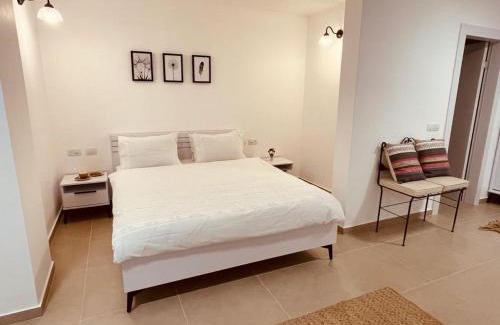 Rosh Pinna Apartment | Accommodation at Miss Daisy - להתארח אצל מיס דייזי