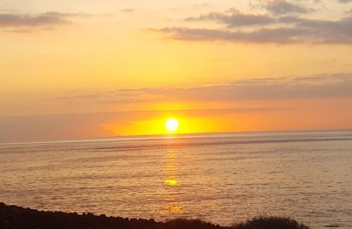 El Rincon Apartment | Acogedor apartamento en San Miguel de Abona