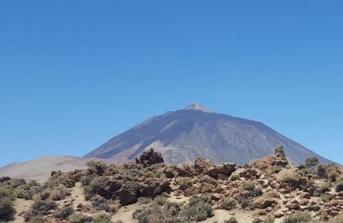 El Rincon Apartment | Acogedor apartamento en San Miguel de Abona