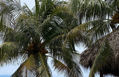 Llano de Los Patos Cabin | Acogedora cabaña con 3 camas dobles y vista al mar
