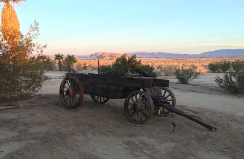 Wonder Valley House | Adobe in the Rancho 1930s Palm Trees