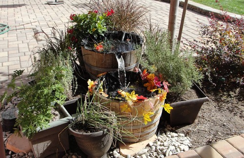 Los Gatos Cottage | Adventurer's Cabin Los Gatos