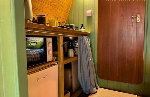 West Stow Cabin | Aelfred Pod - in a calm woodland setting- ready for glamping?