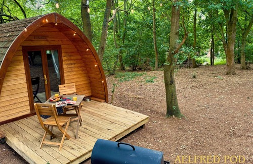 West Stow Cabin | Aelfred Pod - in a calm woodland setting- ready for glamping?