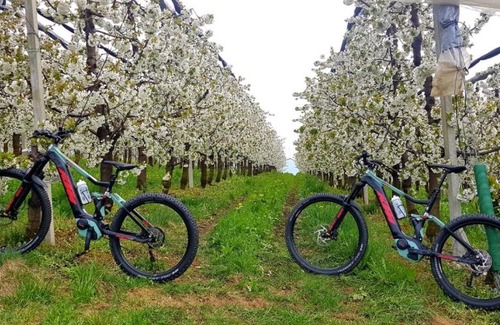 Coredo House | Affittacamere Dolce Sogno