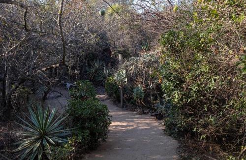 Thorny Bush Game Reserve Cabin | African Sky Bush Camp