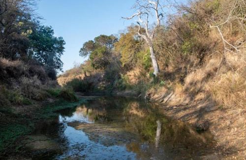 Thorny Bush Game Reserve Cabin | African Sky Bush Camp