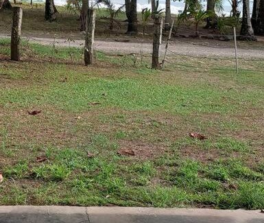 Bandera House | Agradable cabaña frente al mar