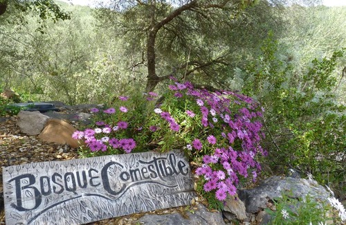 Esporles House | Agroturismo Can Torna AG178