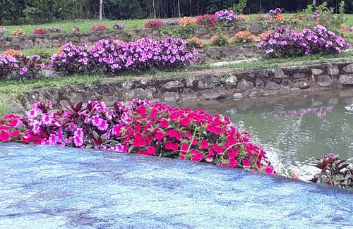 Platanares Cottage | Agua Azul Lodging