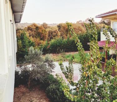 Arnavutkoy Cabin | Ahmet Teacher's villa is 6 minutes from Istanbul airport