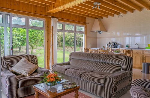Ponta Delgada House | AHR - Casa Criptomeria, facing the sea, enjoy the welfare, peace and tranquility