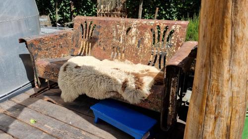 Schaijk Bed & Breakfast | AirstreamNB