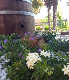 Piobesi d'Alba Apartment | Al Bricco