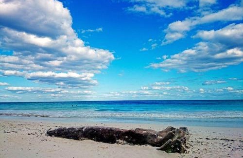 Zona Hotelera Hotel | Alaya Tulum by Ahau Collection