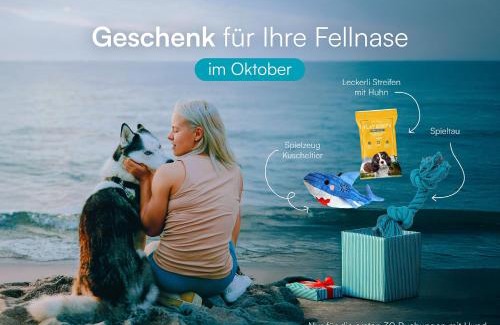 Olpenitz House | Albatrosvilla Leuchtturm