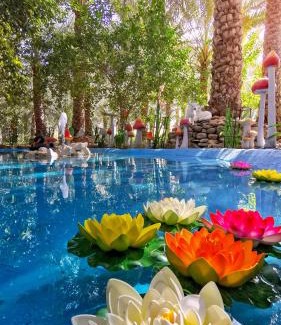 Hatta Villa | ALBERI LODGE