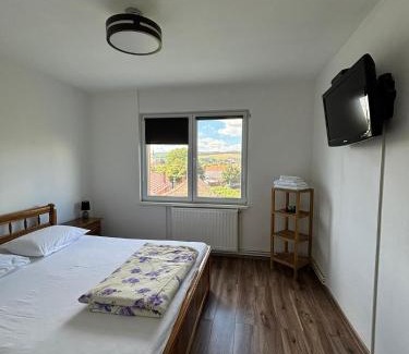 Tirgu Mures Apartment | ALE TEO APARTAMENT