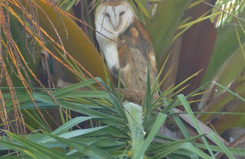 Nice House | ALL INCLUSIVE AMENITIES &TAX.Kayak,SUP,Pedal Boat,PingPong, Pickleball,Movie Nt