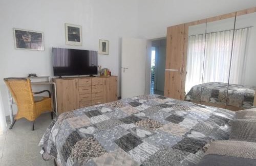 Fuerth Apartment | Alleeblick