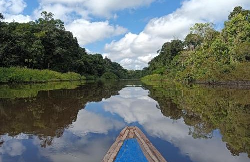 Saquena Cabin | Allpayacu Adventures Lodge - All Inclusive