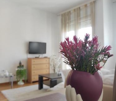 Podgorica Apartment | Allurian Apartment - City kvart