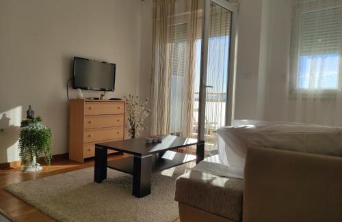 Podgorica Apartment | Allurian Apartment - City kvart