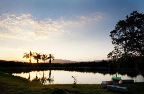 Alkmaar House | Almar View Guest House