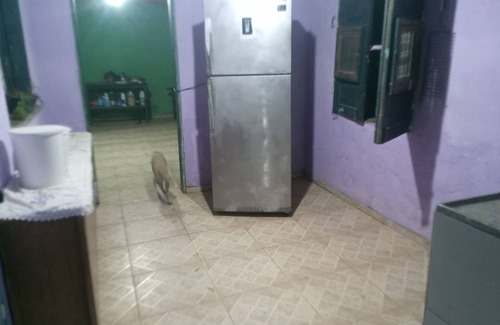 Luis Correia House | Aloha phb Hostel -hospedagem em Conta pra Você Próxima à da Praia de Atalaia