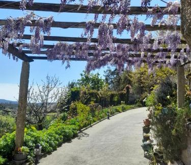 Oliveira de Frades House | Alojamento São Lourenço