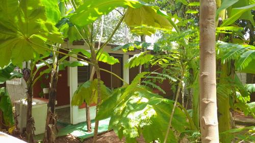 Encarnacion House | Alojamiento El Bosque