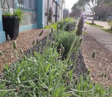 Villa Elisa Apartment | Alojamiento Passiflora I