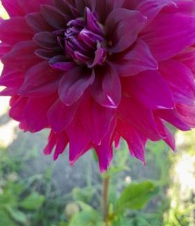 Castillo de Locubin House | Alojamiento rural La Hontana