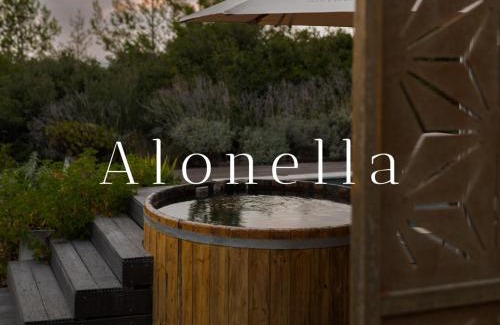 Kfar Vradim Bed & Breakfast | Alonella